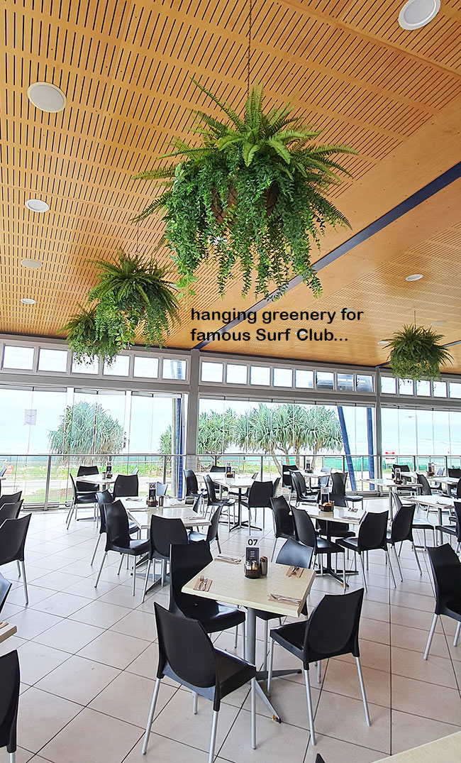 Surf Club's new green-room!