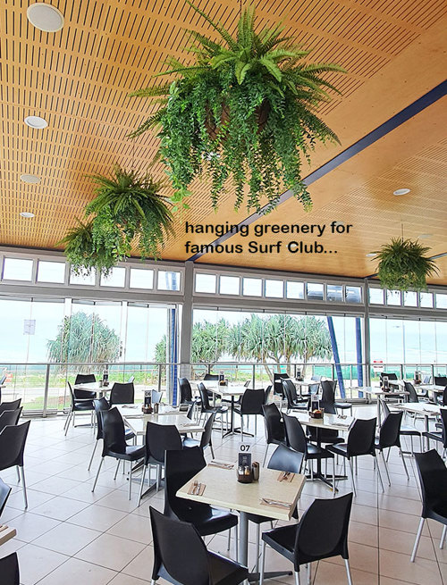 Surf Club's new green-room!