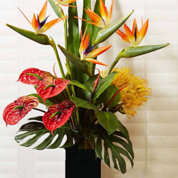 Floral- Birds with Anthuriums - artificial plants, flowers & trees - image 1