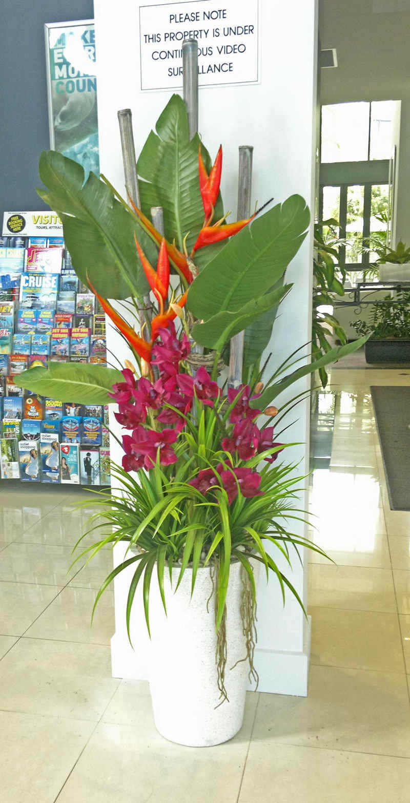 Potted palms with floral centres