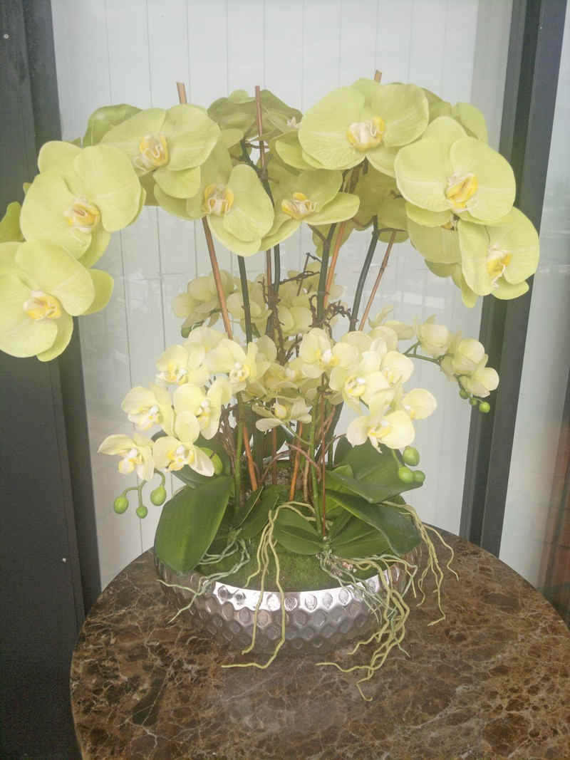 bfly_orchids_metal_round_pot.jpg