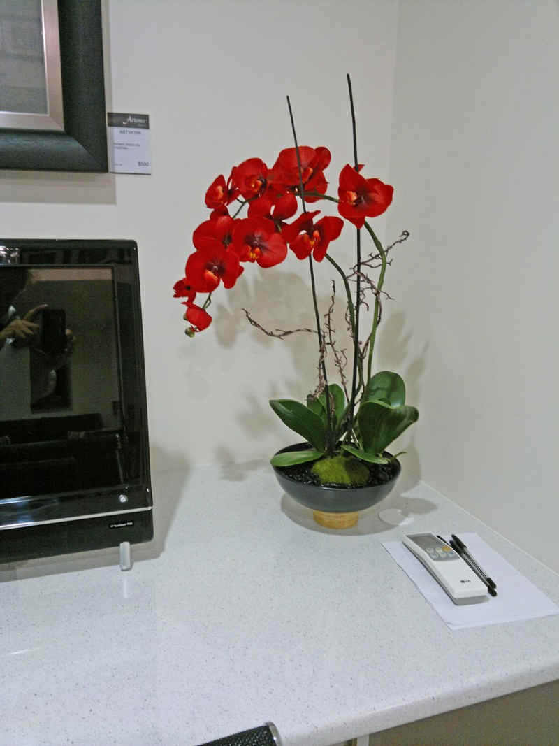 orchid_workstation.jpg