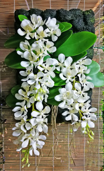Greenery Plaque- Vanda Orchids