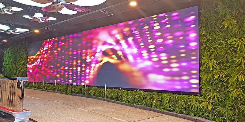 fern-wall surrounds giant screen