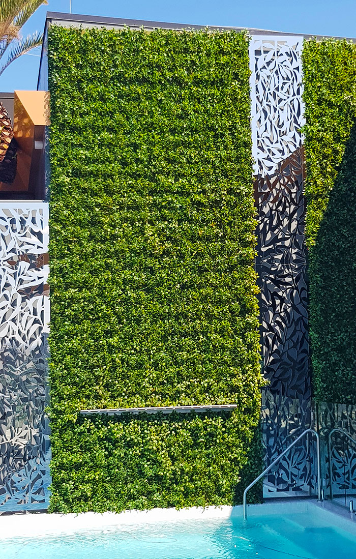 tall green-wall over outdoor pool