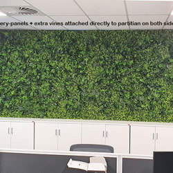 Wall-Panels- Boxwood UV x30 [approx 7m2] - artificial plants, flowers & trees - image 3