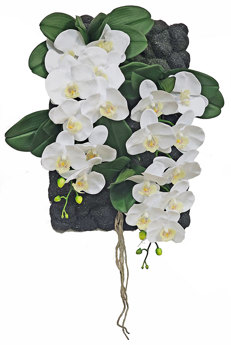 Orchid Plaque