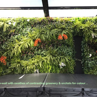 Artificial Green Wall as 'finishing touch' for Spa area poplet image 2