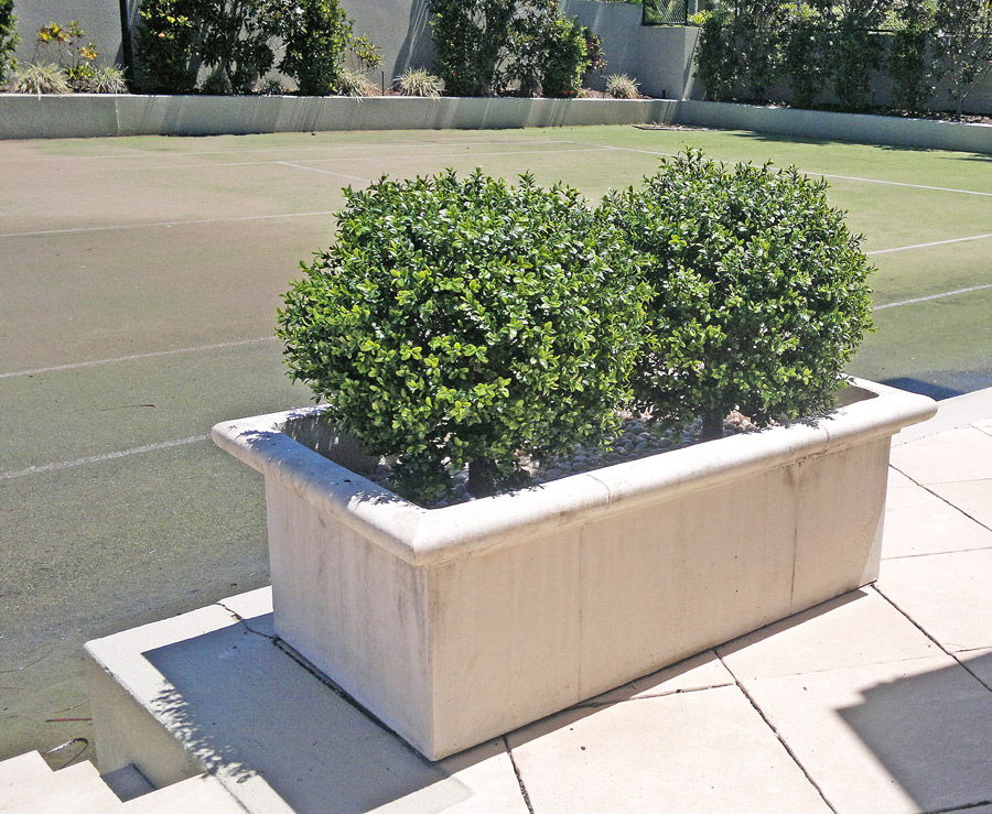 topiary-x3-trough.jpg