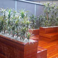 Deck Planters in Office Tower poplet image 2