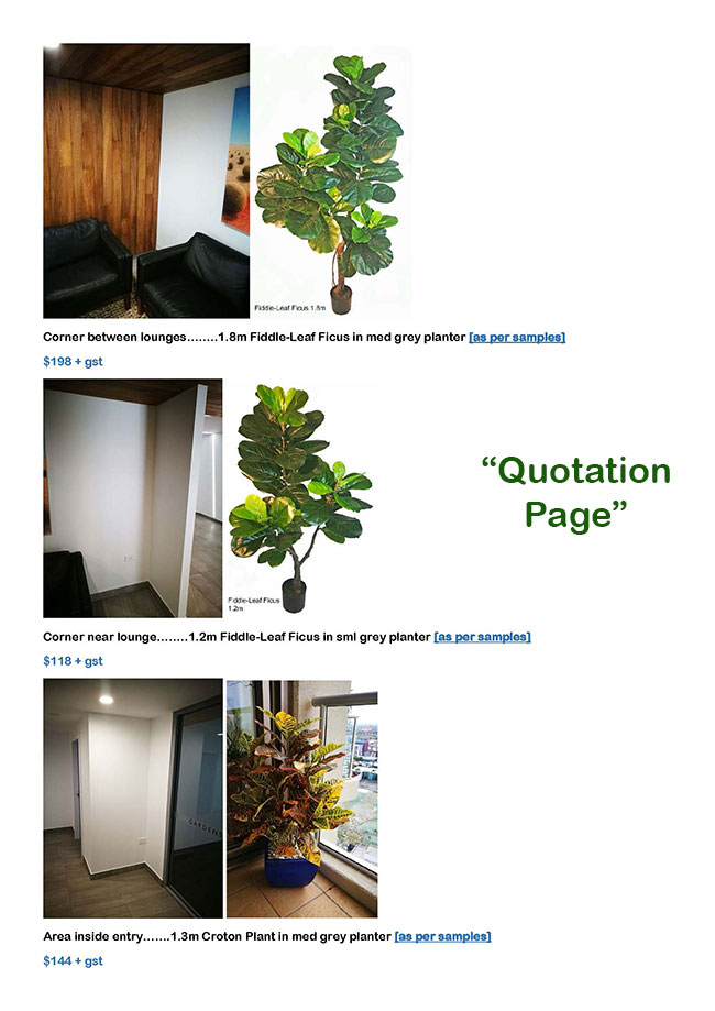 Plants for apartment foyers image 11