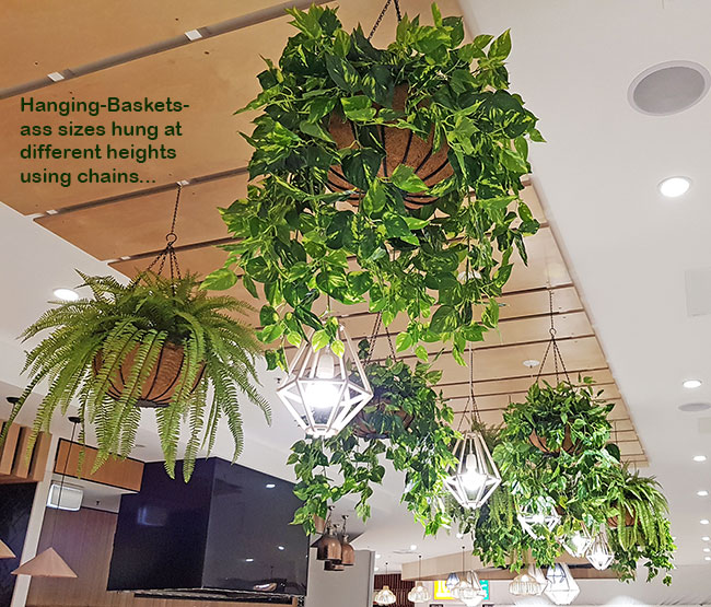 'Greening-up' a Food Court in shopping centre... image 4