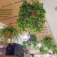 'Greening-up' a Food Court in shopping centre... poplet image 3
