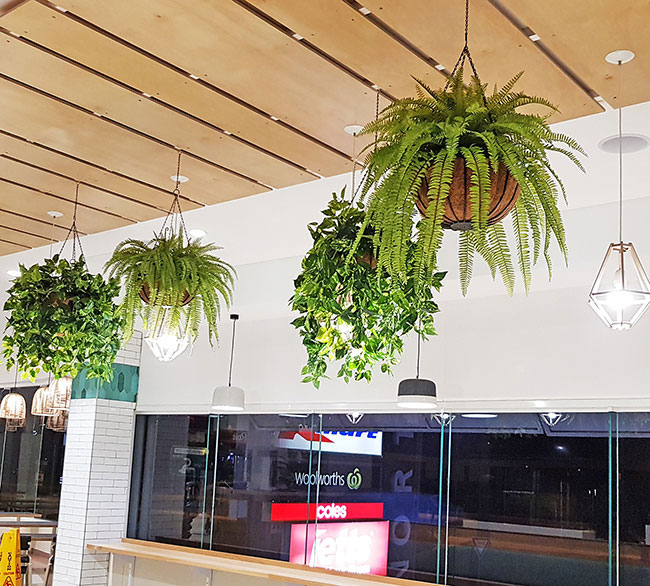 'Greening-up' a Food Court in shopping centre... image 5