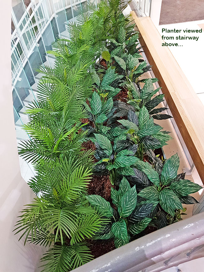 'Greening-up' a Food Court in shopping centre... image 7