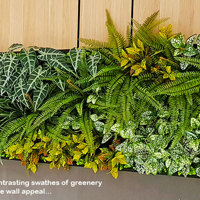 'Greening-up' a Food Court in shopping centre... poplet image 8