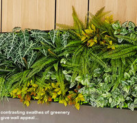 'Greening-up' a Food Court in shopping centre...