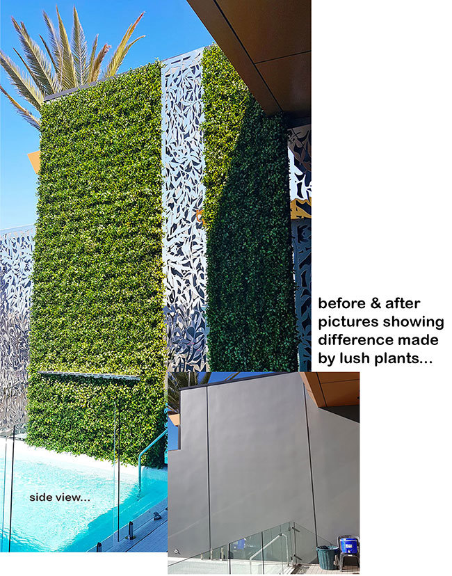 Before & After Shots..... Green-Walls 4