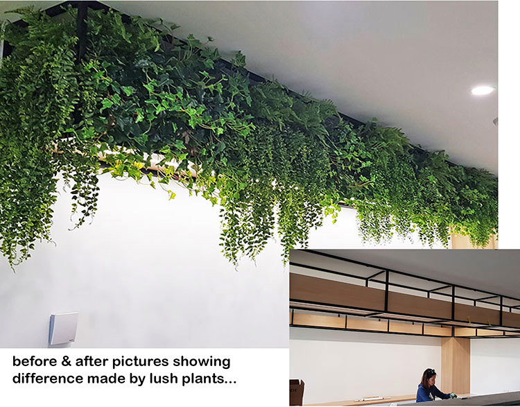 Before & After Section....... high Planters 2