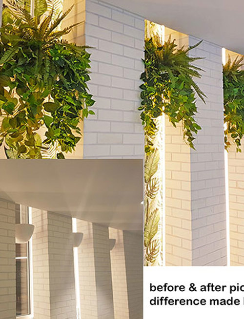Before n After Shots..... Wall-Baskets & Planters