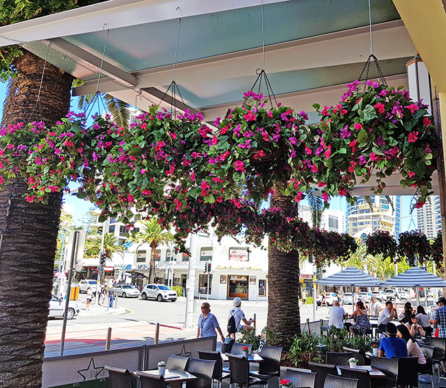 Eye-catching Colour for eatery in busy Tourist Strip... image 2