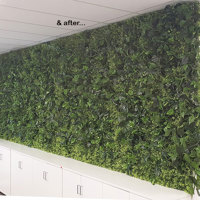 Office Greenery Solutions...fast! poplet image 6