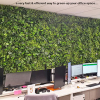 Office Greenery Solutions...fast! poplet image 8