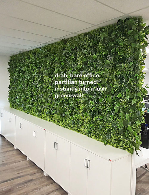 Office Greenery Solutions...fast!