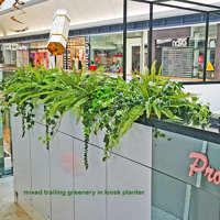 Kiosk in mall gets green 'finishing touch' poplet image 1