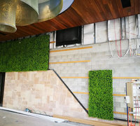 Before & After Shots..... Green-Walls 4