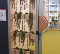 Before n After Shots..... Wall-Baskets & Planters