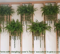 Before n After Shots..... Wall-Baskets & Planters