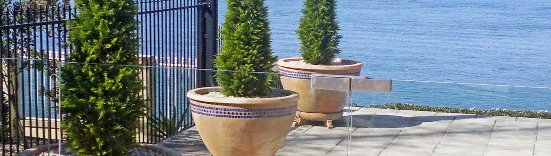 Indoor Outdoor Artificial Plants Tress Gold Coast Interior Indoor Outdoor Artificial Plants