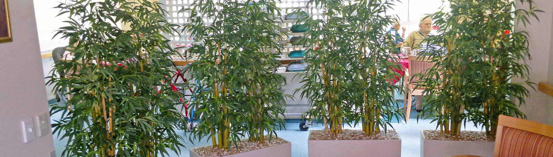 Indoor Outdoor Artificial Plants & Tress Gold Coast Interior Gardens