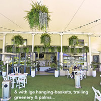 Latest stand-out Venue revamp at Kangaroo Pt, Brisbane & greenery flows... poplet image 2