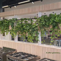 Greenery complements Builder's stunning new Display Centre... poplet image 2