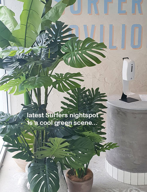 latest Surfers Venue is a 'cool green scene'...