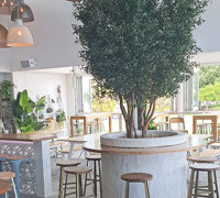 latest Surfers Venue is a 'cool green scene'...