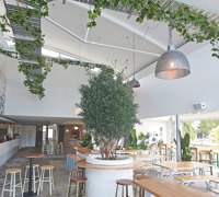 latest Surfers Venue is a 'cool green scene'...