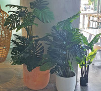 latest Surfers Venue is a 'cool green scene'...