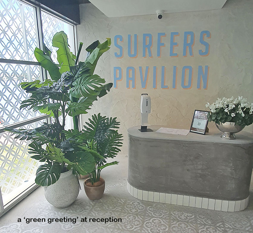 latest Surfers Venue is a 'cool green scene'... image 2