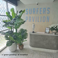 latest Surfers Venue is a 'cool green scene'... poplet image 1