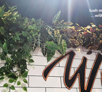 Bottle-Shops have a new 'green-flavour'!