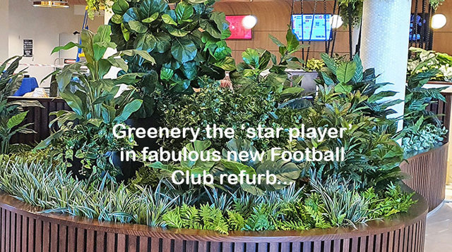 Greenery is 'star player' in fabulous new Football Club refurb...