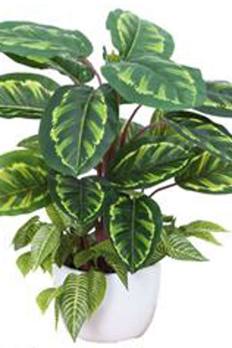 Artificial Greenery Bowls