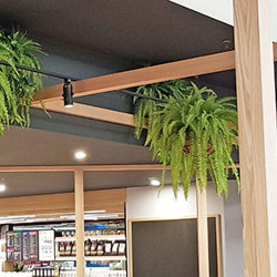 Hanging Baskets- Ferns (medium) - artificial plants, flowers & trees - image 5