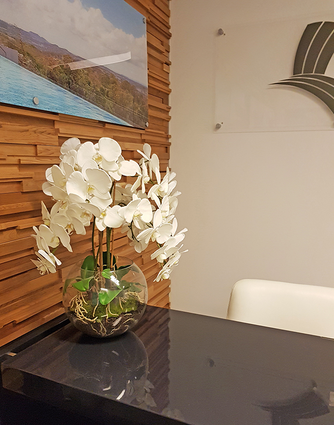 Orchid in Glass Bowls