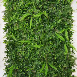 Wall-Panels Ivy/Fern UV panel x4 [approx 1m2] - artificial plants, flowers & trees - image 7