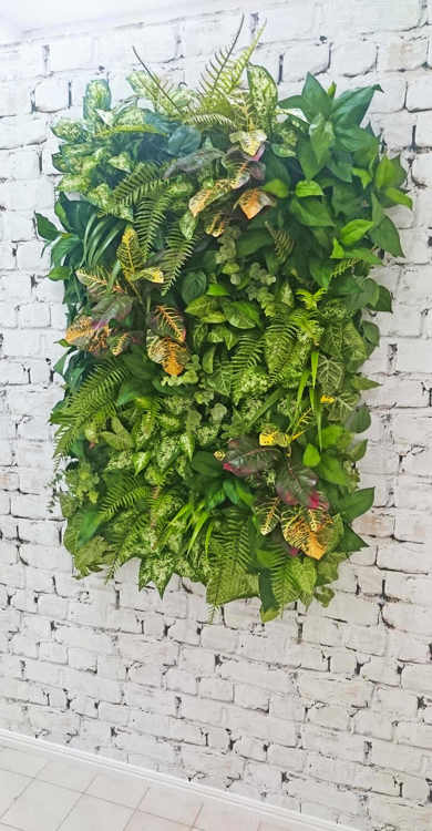 Articial Plants - Living Walls- deluxe 120 x 120cm