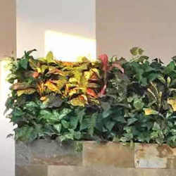 Living Walls- deluxe 120 x 120cm - artificial plants, flowers & trees - image 4